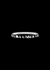 Apex Delta - Silver